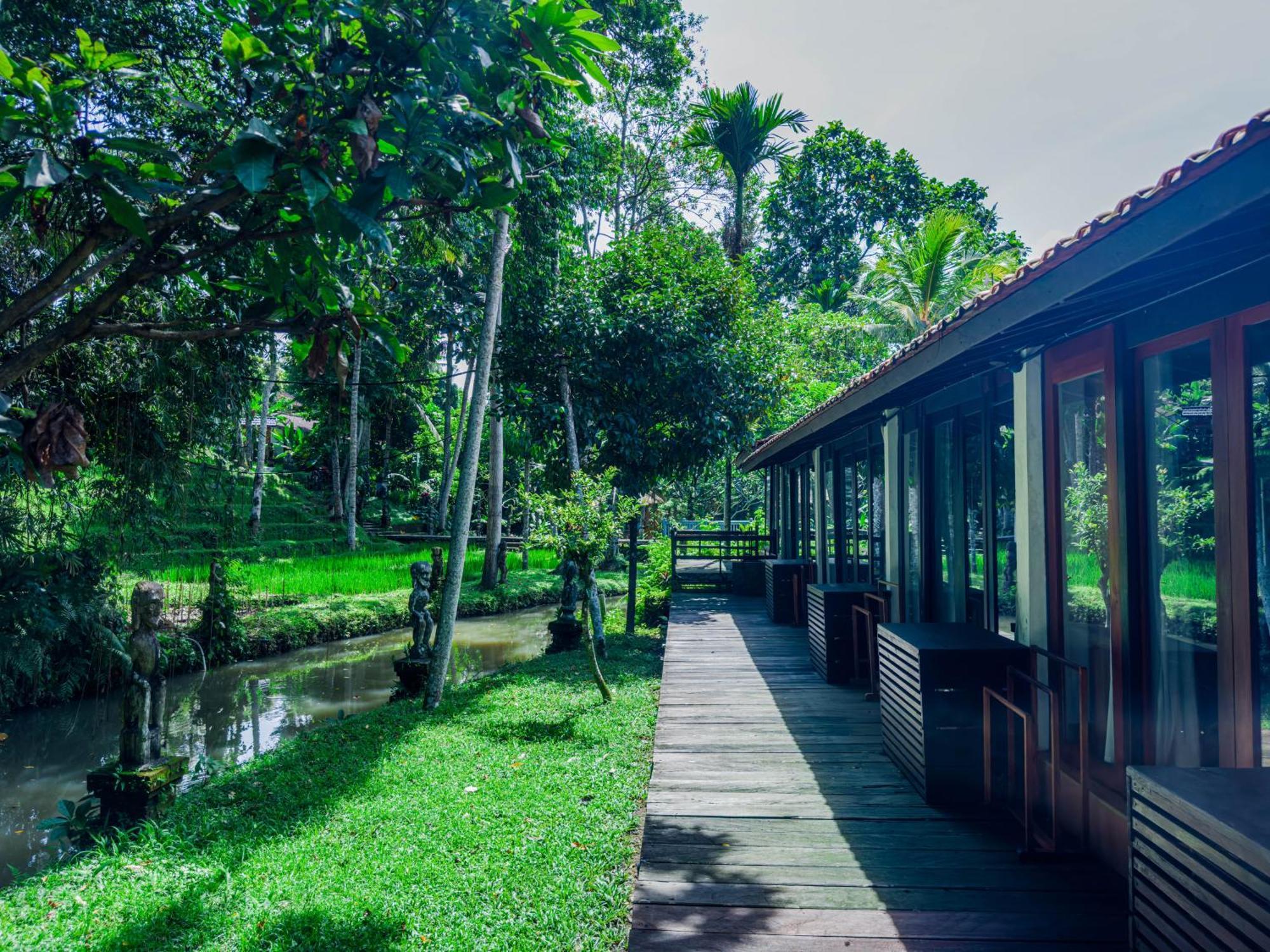 Ubud Sari Health Resort Zewnętrze zdjęcie